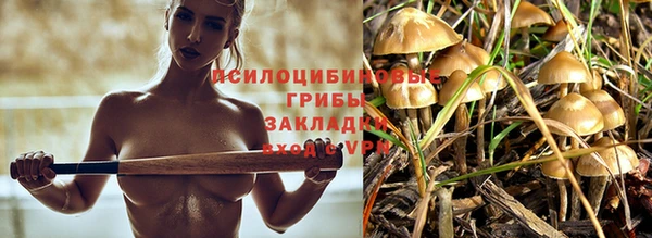 СК Наволоки