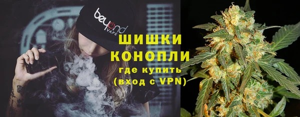 сатива Арсеньев