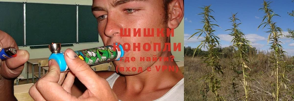 сатива Арсеньев