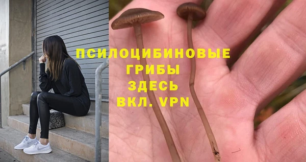 МДПВ Армянск