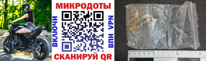 Галлюциногенные грибы Psilocybe  продажа наркотиков  Сурск 